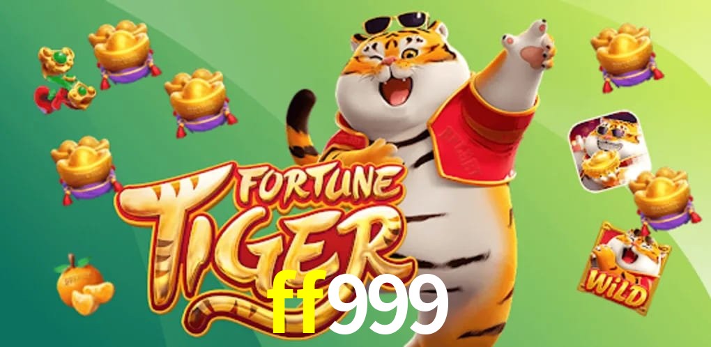 Experiência VIP ff999